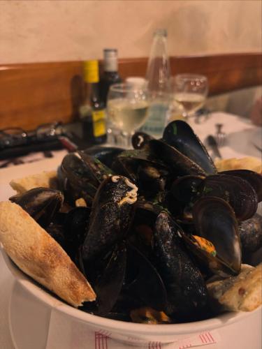 WhatsApp-Image-2026-01-27-at-09.57.14-5