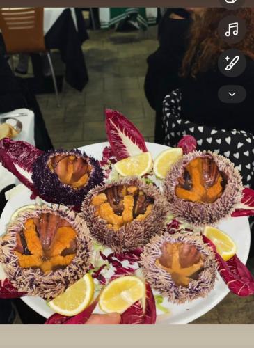 WhatsApp-Image-2026-01-27-at-09.57.15-2