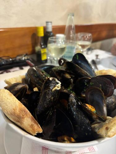 WhatsApp-Image-2026-01-27-at-09.57.15